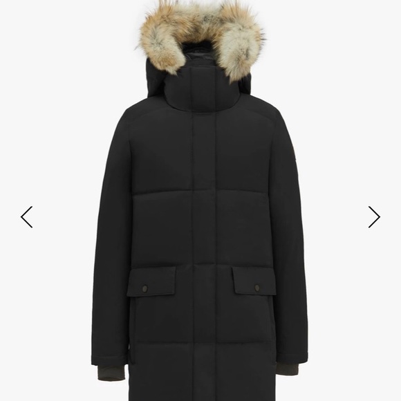 Quartz Co - Chloe Parka - Black - Picture 6 of 10